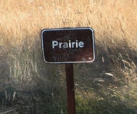 The Prairie