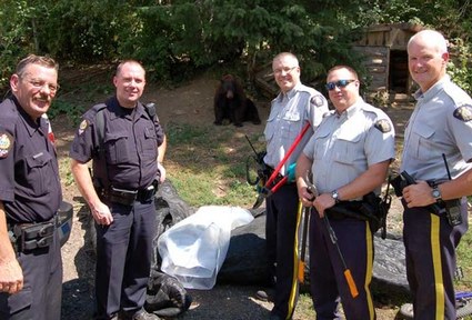 Officers and a Bear