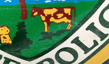 Vermont's adjusted State Trooper Shield, with pig-shaped spot.