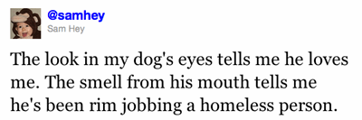 The look in my dog's eyes tells me he loves me. The smell from his mouth tells me he's been rim jobbing a homeless person.